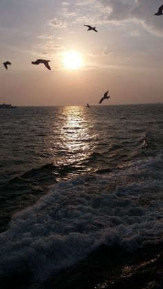 seagulls flying over the ocean at sunset