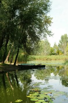 there is a boat that is sitting in the water near some trees and lily pads