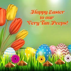 an easter card with colorful eggs and flowers in the grass, on a sunny day