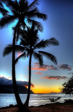 two palm trees on the beach at sunset