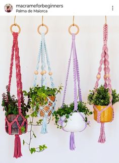 several hanging planters with plants in them on a white wall and one is pink, the other is blue