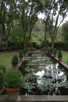 a pond surrounded by potted plants and water lilies in front of some trees