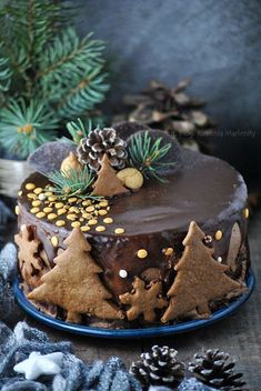 a chocolate frosted christmas cake with pine cones on top