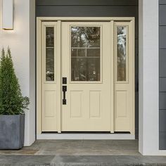 a front door with two planters on either side