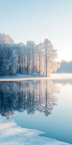 a lake surrounded by snow covered trees in the middle of winter with ice on the water