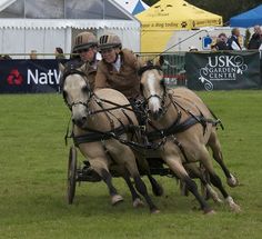 two men riding on the back of horses pulling a cart with another man in it