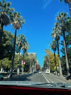 palm trees line the street in front of a building on a clear blue sky day