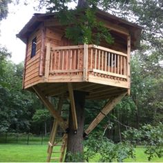 a tree house built into the side of a tree in a field with grass and trees