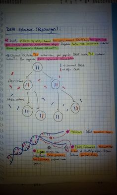 a notebook with an image of a diagram on the page and some words written in different languages