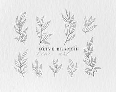 olive branch line art on white paper with the words olive branch written in black ink