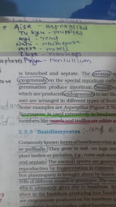 Biology book biological classification Biological Classification Notes For Neet, Biology Neet Tricks, Boring Day Snap, Biological Classification Notes, Biology Tricks, Snap Study, Aiims Rishikesh, Neet 2023, Cell Biology Notes