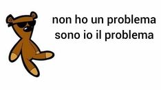 a brown teddy bear with sunglasses on it's head and the words, no ho un problema sono mi problema