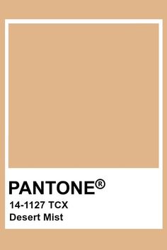 pantone's apricot sherbet color is shown in this image