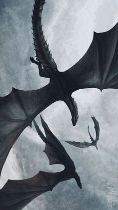 two black dragon flying in the sky with their wings spread out and facing each other