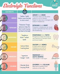 the different types of electrolytic functions for children and adults to use in their body