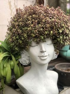 a white mannequin head with flowers on it's head and green plants in the background