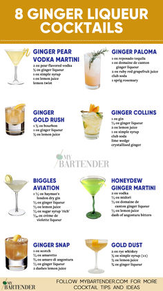 Ginger Liqueur Cocktails Ginger Drinks Alcohol, Ginger Liquor Recipes, Ginger Margarita, Ginger Ale Cocktail Recipes, Ginger Liqueur Recipe, Ginger Liquor Cocktails, Cocktails With Ginger Beer, Rum And Ginger Beer Cocktail Recipes, Cocktails Recipes