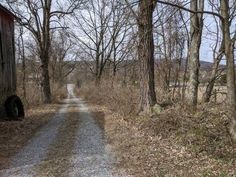 a dirt road in the middle of some trees and bushes with a red barn on one side