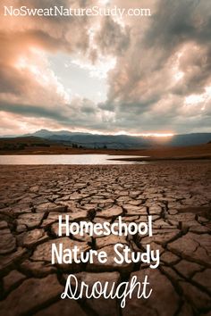 the words homeschool nature study brought to me