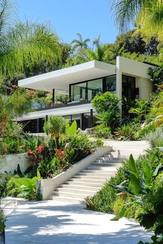 the house is surrounded by lush vegetation and trees, with stairs leading up to it