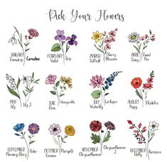 the different types of flowers that are labeled in each flower type, and how to use them