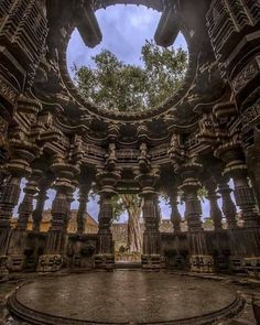 the inside of an old building with columns and trees growing out of it's sides