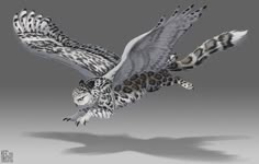 an owl flying through the air with its wings spread