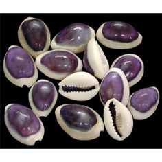 some purple and white shells on a black background