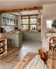 a large kitchen with wooden floors and green cabinetry is pictured in this image, there are potted plants on the counter