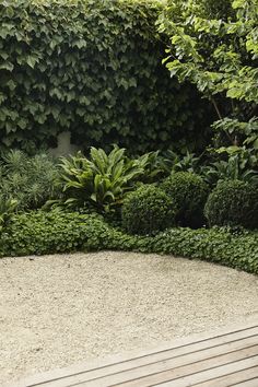 a wooden bench sitting in front of a lush green wall covered with trees and bushes