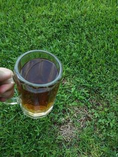 a person is holding a glass in their hand on some green grass and there is no image here to provide a caption for