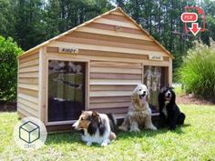 three dogs are sitting in front of a dog house