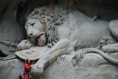 a lion statue being worked on by a man with a red rope attached to it