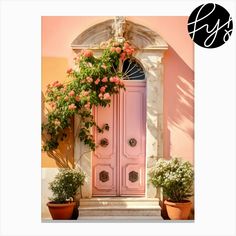 a pink door with potted plants in front of it