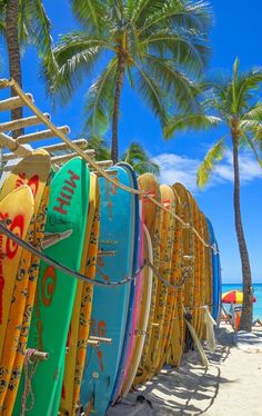 many surfboards are lined up on the beach