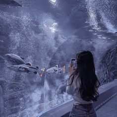 a woman taking a photo of dolphins in an aquarium with her cell phone while looking at them