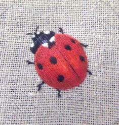 a red ladybug sitting on top of a piece of cloth