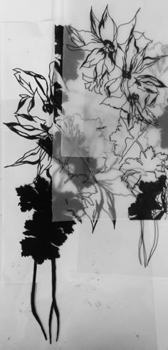 black and white photograph of flowers on paper