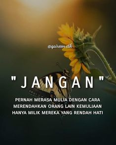 a butterfly sitting on top of a sunflower next to the words, jangan