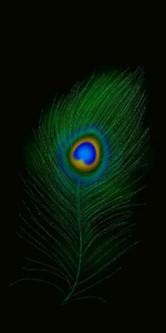 a blue and green peacock feather on a black background