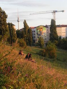 some people are sitting in the grass near buildings and a crane on top of a building