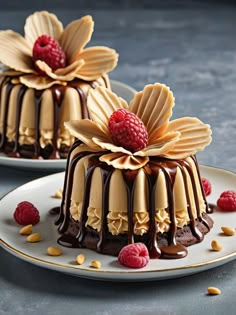 two desserts with raspberries and chocolate drizzled on the top