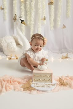 My Baby Girl’s 1/2 Birthday Swan Themed Photoshoot 6month Birthday, Sitter Shoot, 6 Month Birthday, Swan Party, 6 Month Baby Picture Ideas