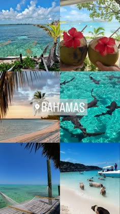 a collage of photos with the words,'batamas'in different languages