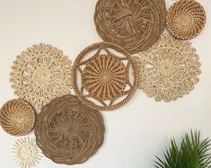 the wall is decorated with wicker circles and palm tree in vases on the table