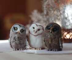 three owls are sitting next to each other on a tablecloth with flowers in the background