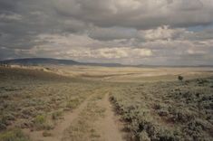 a dirt road in the middle of a field with grass and bushes on both sides