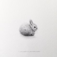 a pencil drawing of a small rabbit