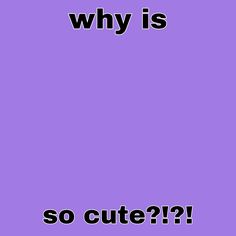 a purple background with the words why is so cute?