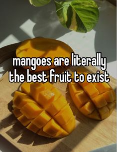 mangoes are literally the best fruit to exist